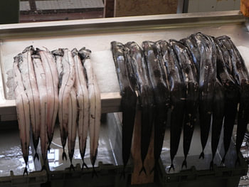 Espada  is een  delicatesse op madeira