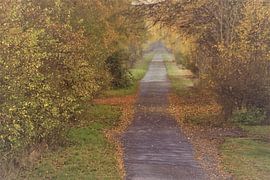 Herbst Weiden Weg B2 von JM BilderBude
