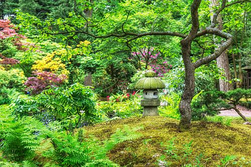 Japanse Tuin (4)