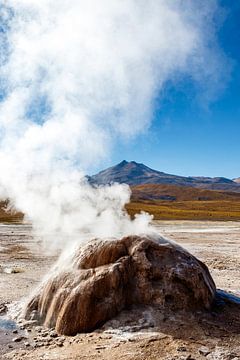 Paysage avec les geysers d'El Tatio dans les Andes, au Chili, en Amérique du Sud. sur WorldWidePhotoWeb