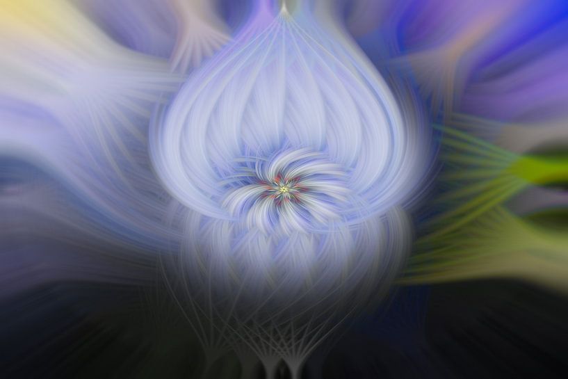 Abstract flowering by Steffen Peters