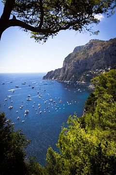 Blick von der Insel Capri, Italien von Kelsey van den Bosch