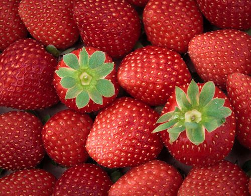 Fresh strawberries from the market