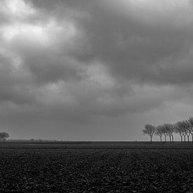 storm van jan van de ven