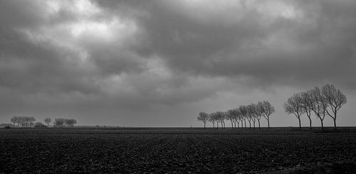 storm van jan van de ven