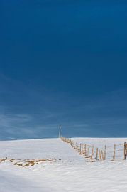 sneeuw by Corné van Lammeren