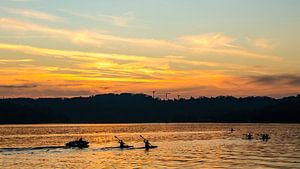 Ruderer am Baldeneysee