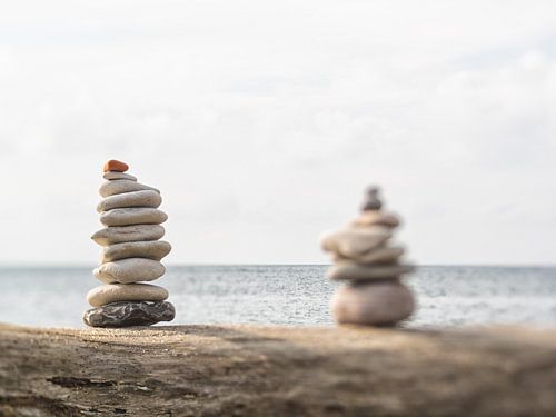 Two of a kind in colour