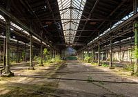 Urban Jungle