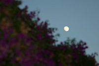 The moon peeking