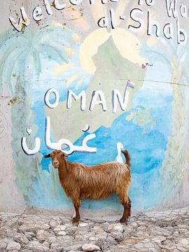 Geit en street art in Oman van Teun Janssen
