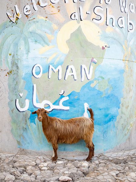 Geit en street art in Oman van Teun Janssen