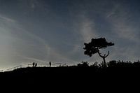 evening scenery