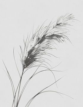 Minimal art - line drawing ornamental grass 01 by Emiel de Lange