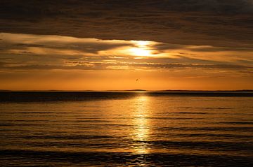 Zomerse zonsondergang Vadstena - Vattern meer - Zweden van Vincent D'hondt