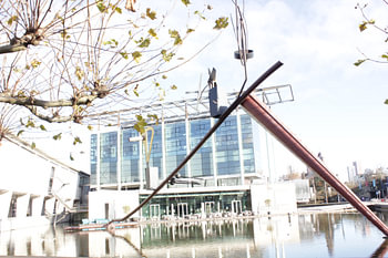 herfst in rotterdam