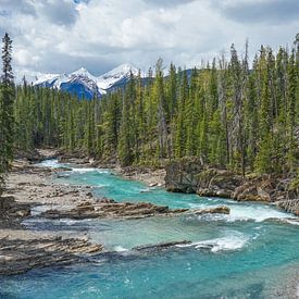 Rivier in Canadees landschap van Co Bliekendaal