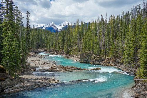 Rivier in Canadees landschap