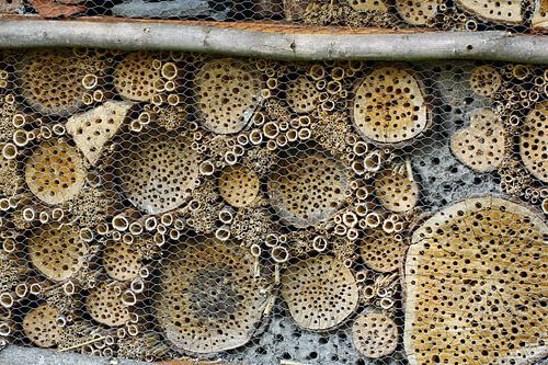 Insectenhotel