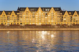 Rheinauhafen in Cologne by Walter G. Allgöwer