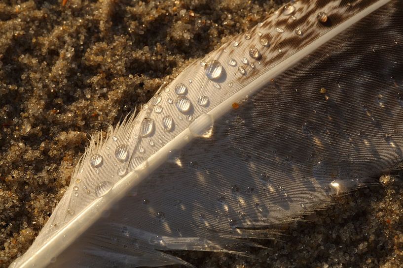 Fähre am Strand von Ronald Pol