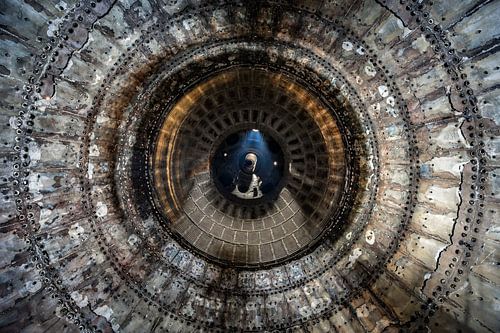 Auge von David Van Den Dooren