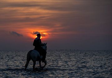 Paardrijder in het water van Marketa Zvelebil