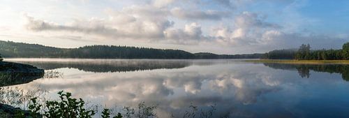 Zweeds panorama