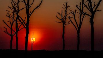 Zonsondergang op windmolen von Peter Malaise