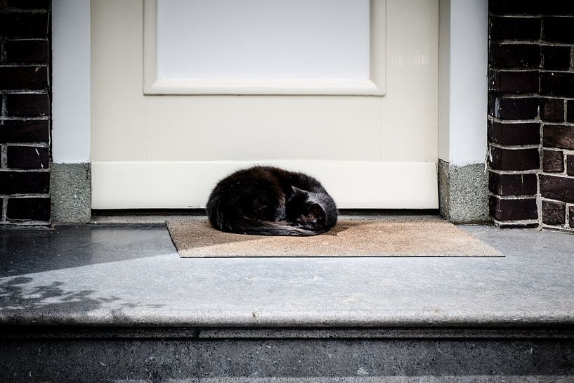 Schwarze Katze von Emel Malms