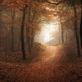 Magische Herfst van Hans Soowijl