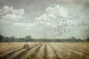 Après la récolte