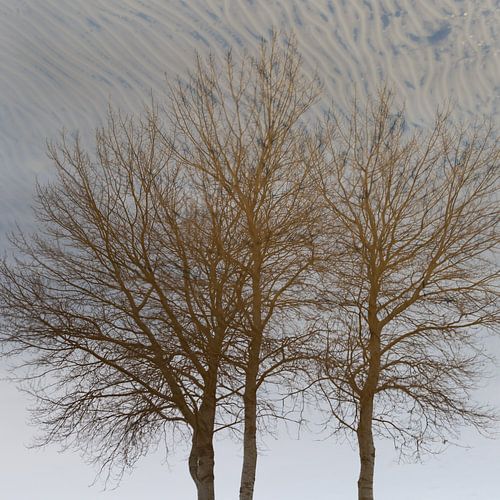 Réflexion sur Dick Doorduin