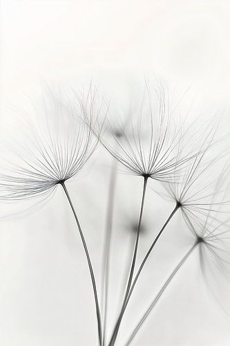 Seeds in the Wind
