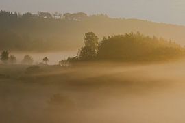 Gesluierde natuur van Bernhard Kaiser