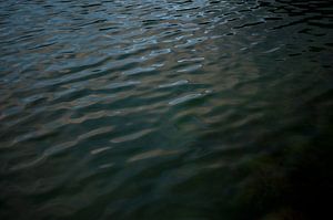 Fluwelen water