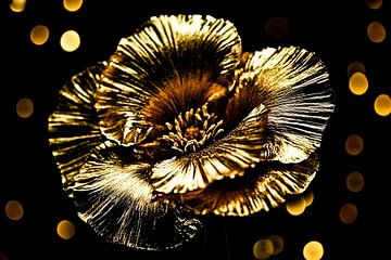 Gold flower with black contrast by Imperial Art House
