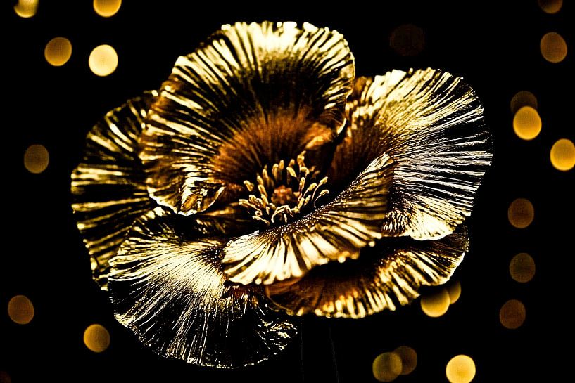 Gold flower with black contrast by Imperial Art House