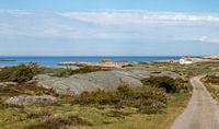 Swedish coastal landscape