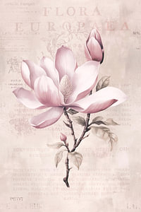 Magnolia Spring Romance Pastel Pink II