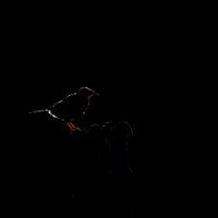 silhouette