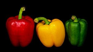 Makro frische Paprika mit Wassertropfen in Farben rot gelb grün vor schwarzem Hintergrund