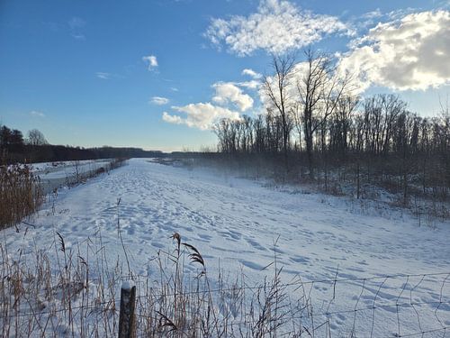 L'hiver aux Pays-Bas (Nootdorp)