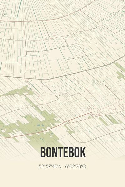 Vintage map of Bontebok (Fryslan) by Prints of Place