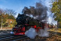 HSB 99-234 Drei-Anne-Höhne