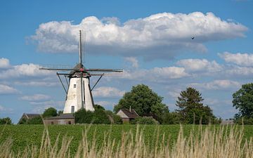 Windmühle, Bedburg, Nordrhein-Westfalen, Deutschland