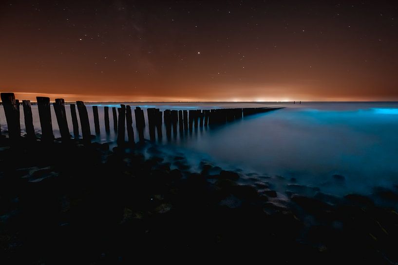 Sea Spark 2 by Andy Troy