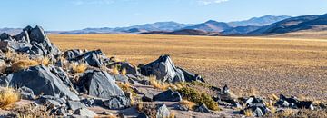 The Puna, landscape in Argentina. by Ron van der Stappen