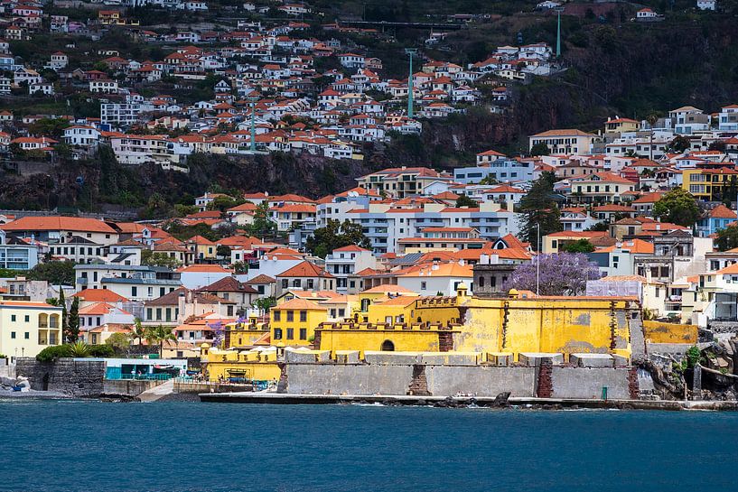 Blick auf Funchal auf der Insel Madeira, Portugal par Rico Ködder