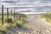 Beach and sea